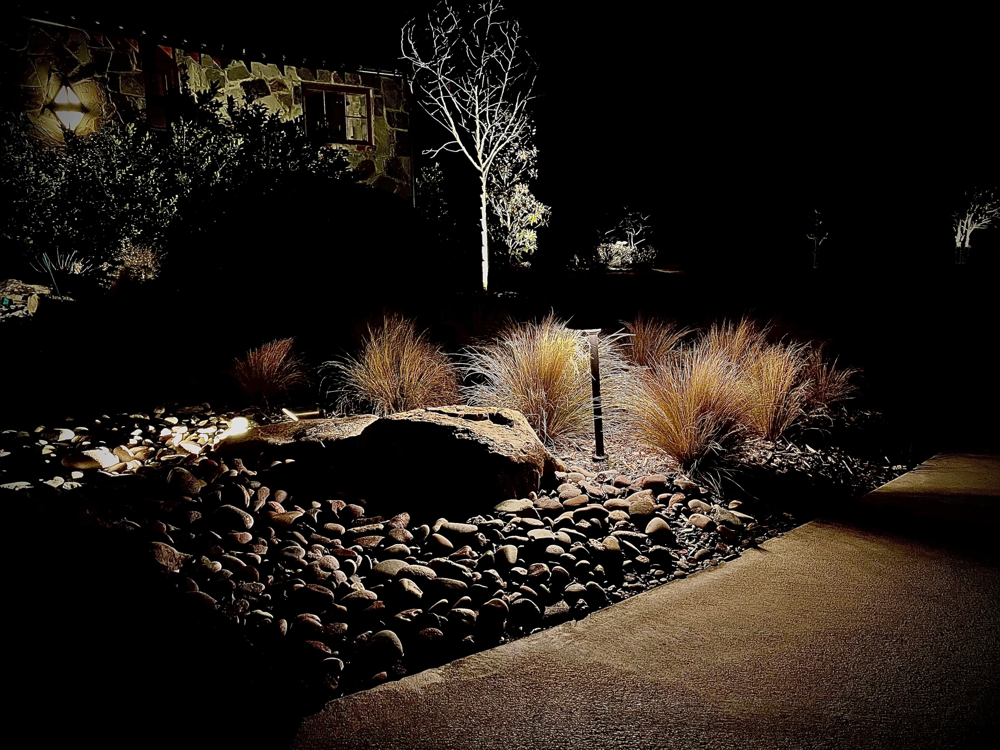 Illuminated nighttime landscape featuring ornamental grasses, river rocks, and a spotlighted bare tree.