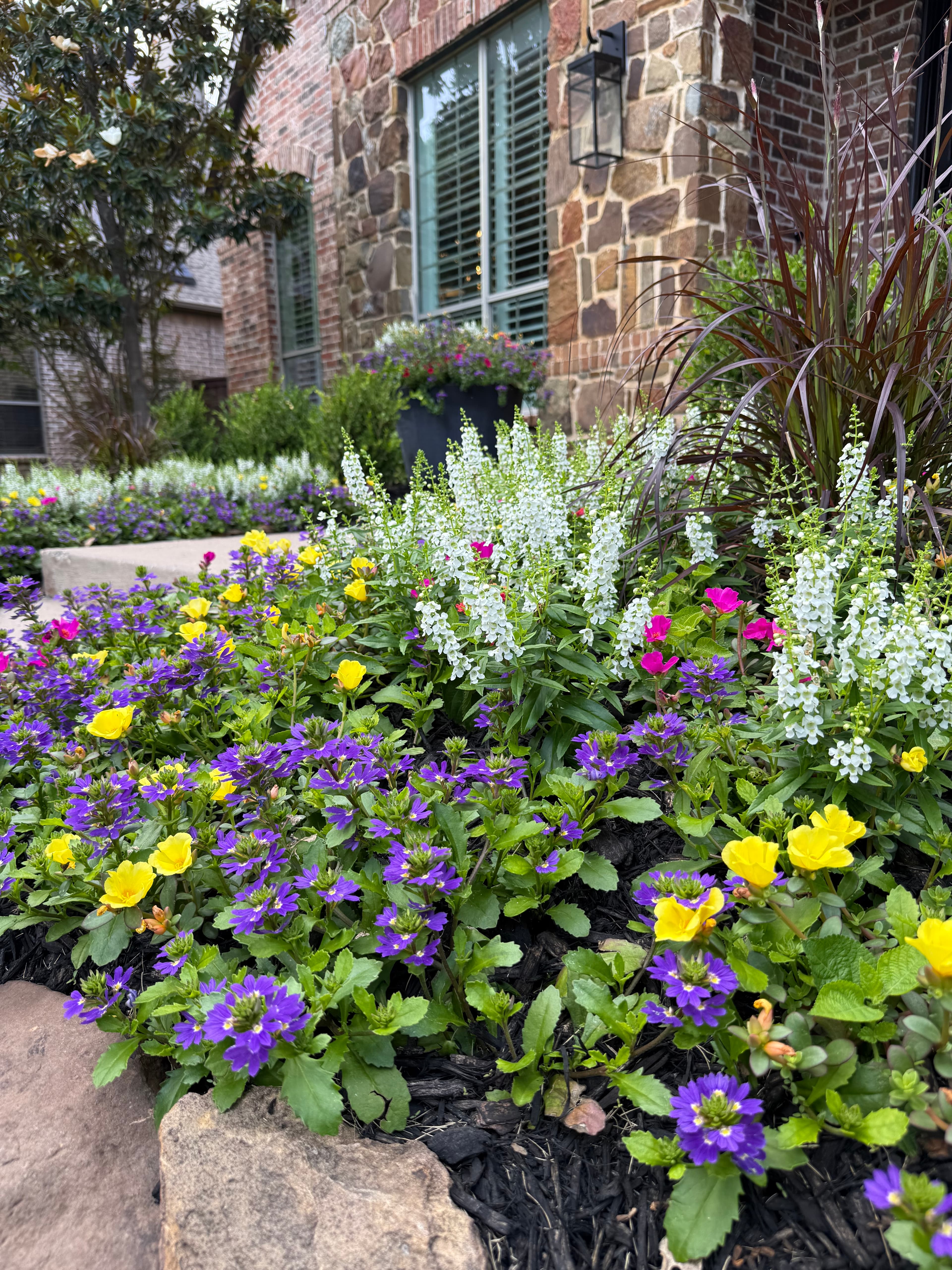 Vibrant purple, yellow, and white flowers in a landscaped garden bed before a stone house.