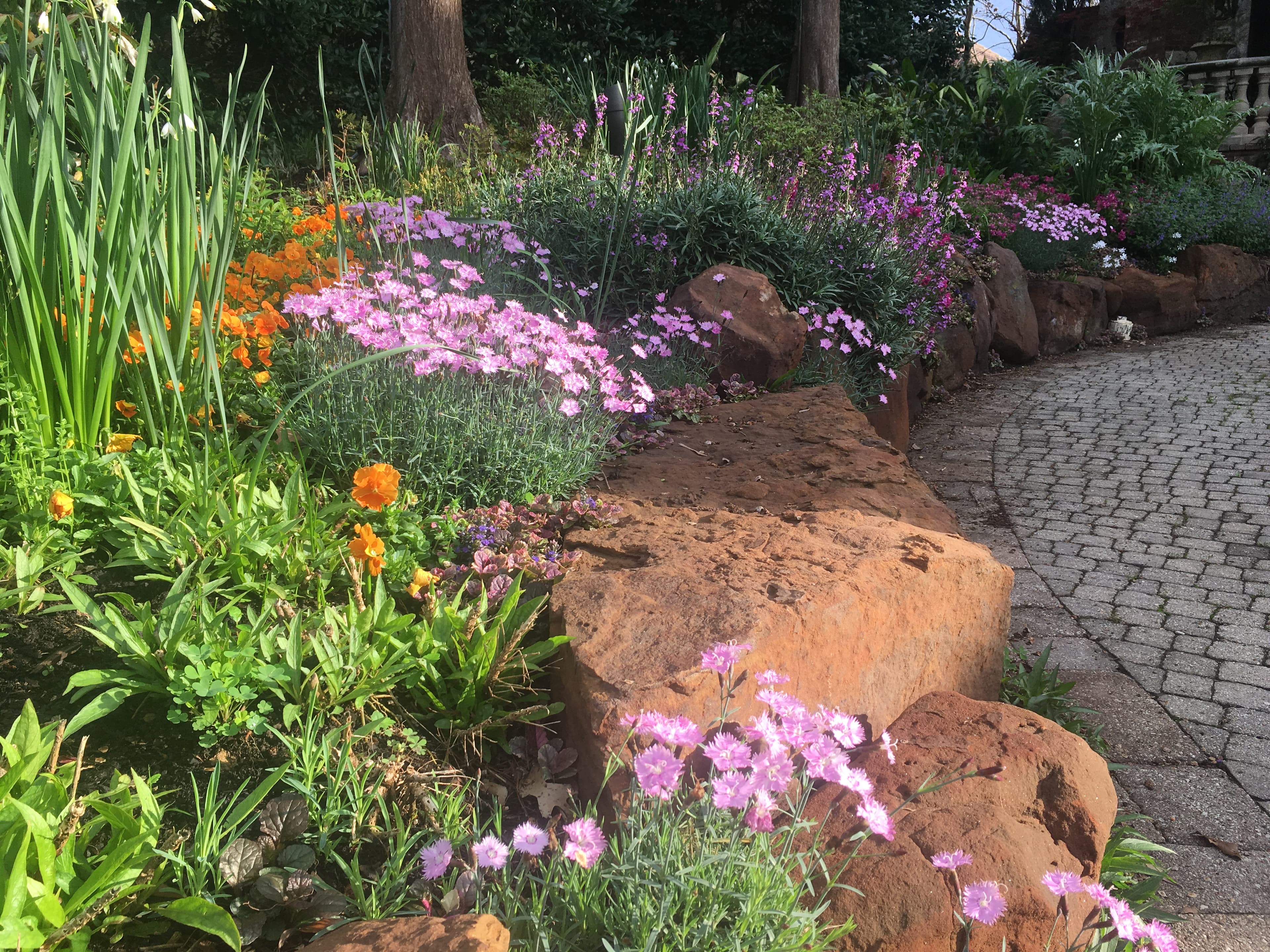 Pink and orange flowers bloom among large rocks bordering a curved cobblestone garden path.