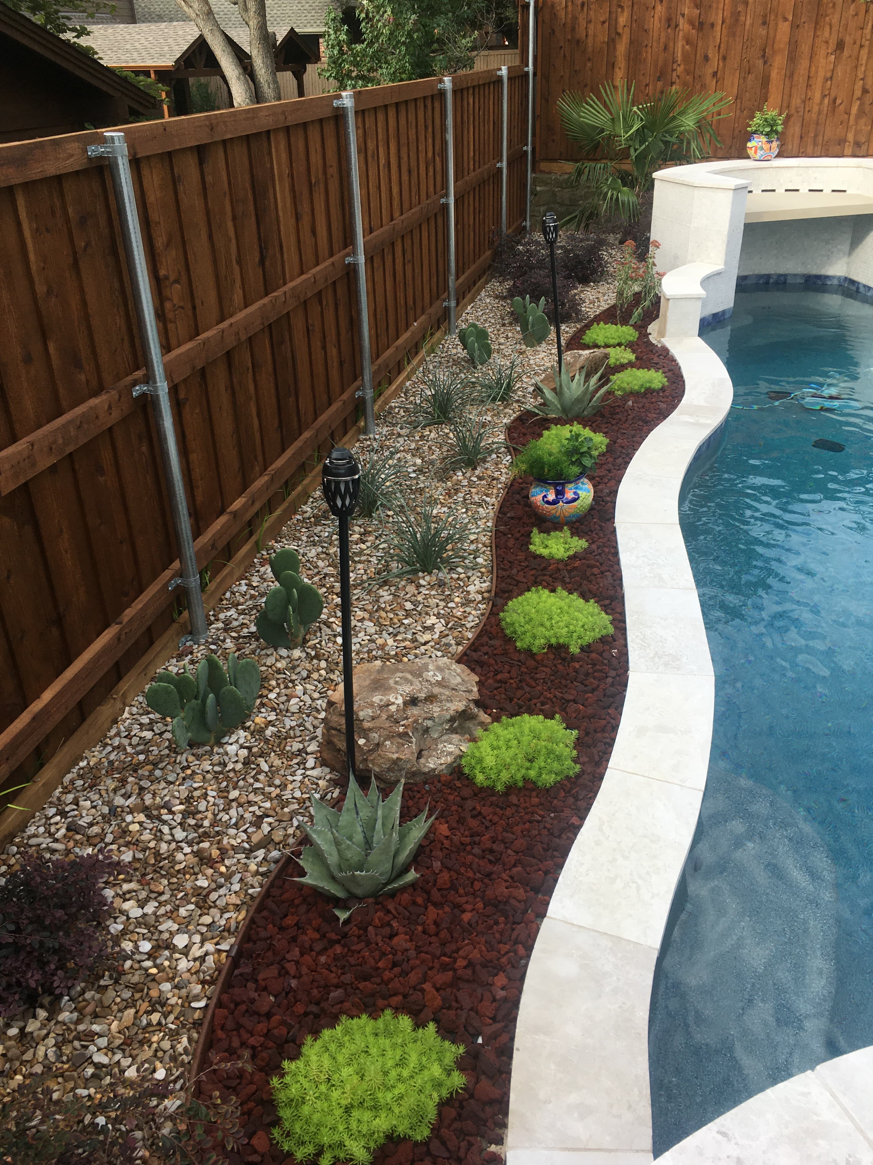 Landscaped poolside garden with cacti and succulents nestled in light pebbles and red lava rock.