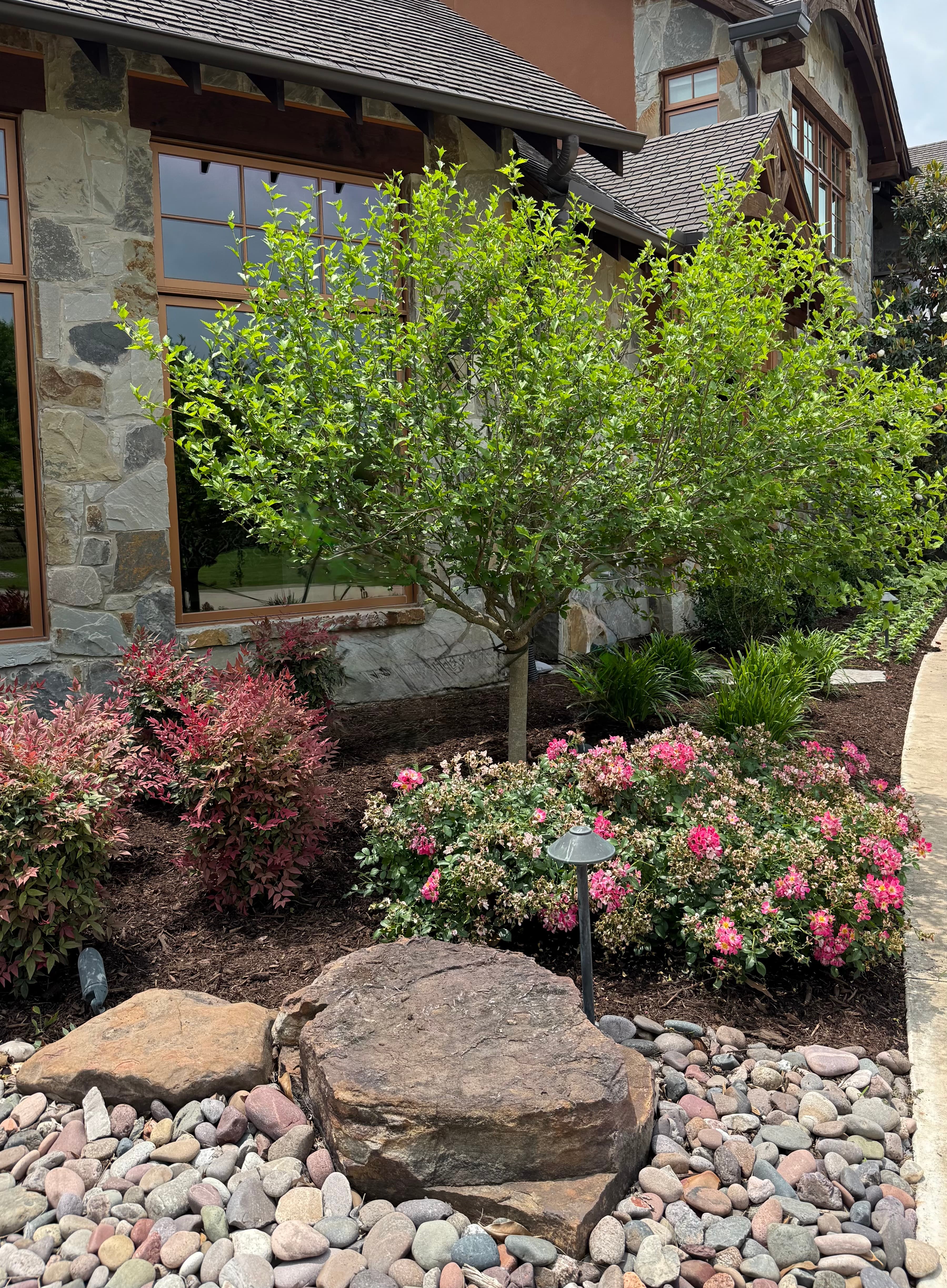 Landscaped garden with a green tree, pink flowers, and river rocks by a stone house.